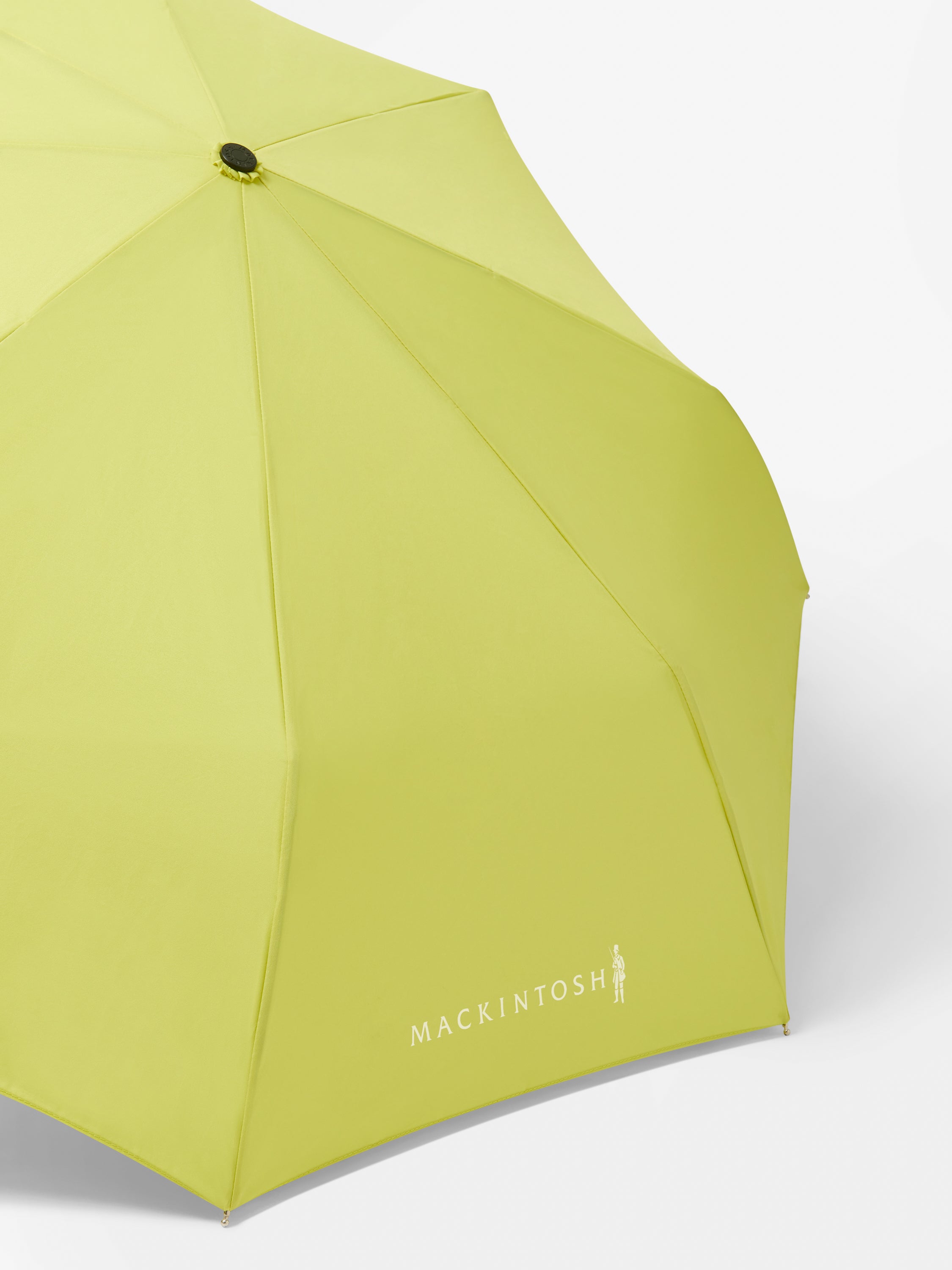 Ayr Automatic Telescopic Umbrella